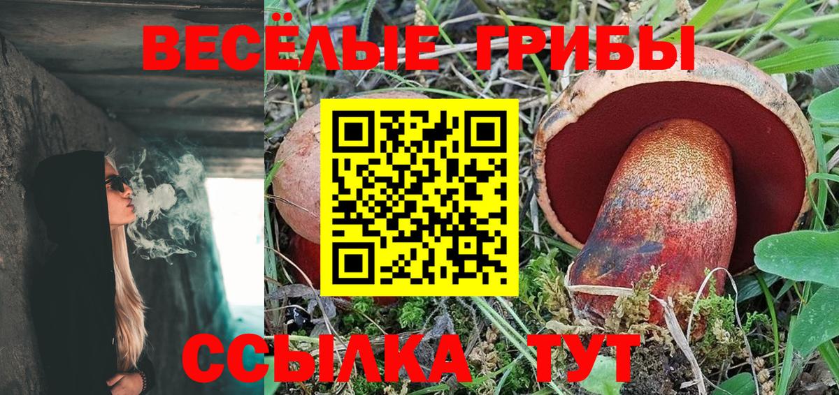 Галлюциногенные грибы MAGIC MUSHROOMS  Галлюциногенные грибы Cubensis  Вход с VPN  как найти наркотики  Гулькевичи 