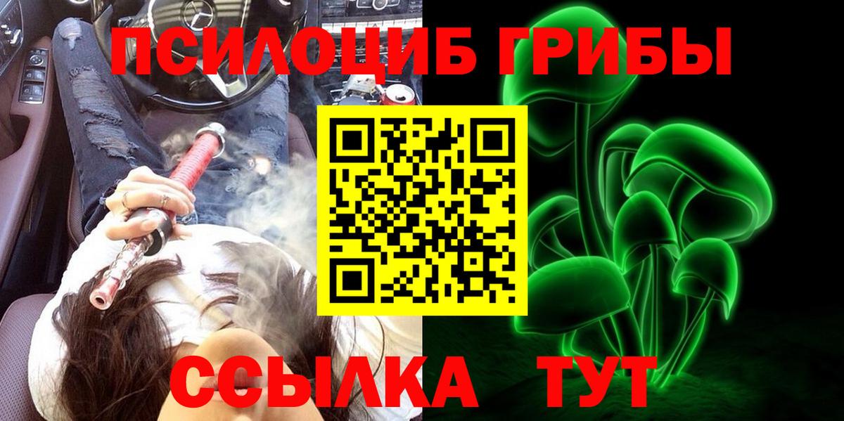 Псилоцибиновые грибы мицелий Гулькевичи